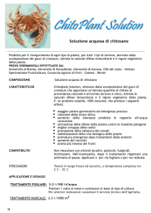 Chitoplant Solution completo