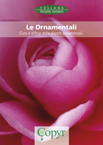 Le Ornamentali - Copyr Giardinaggio