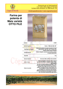 La polenta di mais otto file