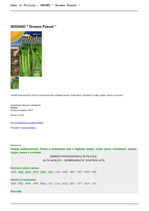 Semi in Pillola : SEDANO " Groene Pascal "