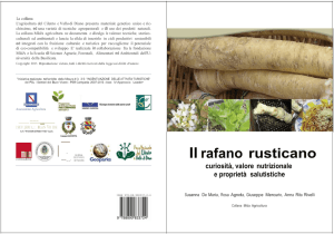 S. De Maria, R. Agneta, G. Mercurio, A. Rivelli