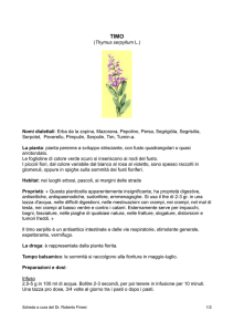 Timo - Il Giardino dei Semplici