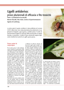 Ugelli antideriva: