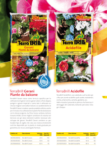 TerraBrill Gerani Piante da balcone TerraBrill Acidofile