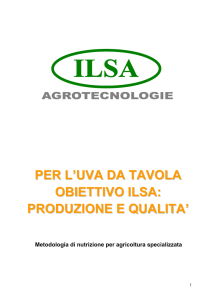 PER L`UVA DA TAVOLA OBIETTIVO ILSA: PRODUZIONE E QUALITA`
