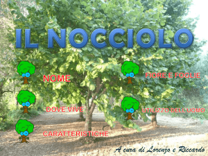 il nocciolo - Paesi Retici