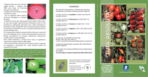 Scarica il depliant illustrativo - regione campania