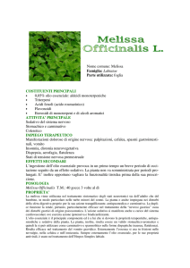 Melissa - Il giardino dei semplici{IL GIARDINO DEI SEMPLICI}