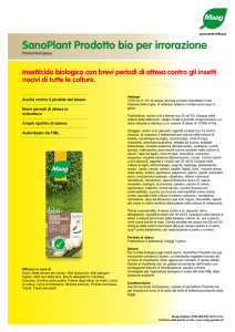 Scheda tecnica in PDF