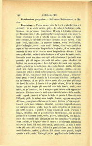 Descrizione. — Pianta annua, alta da 1