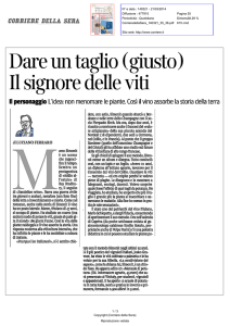 Dare un taglio (giusto) Il signore delle viti
