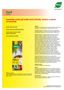 Scheda tecnica in PDF