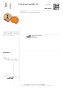 [FR4597] Mimolette Grand Siècle 22M