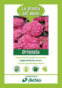 Scheda Ortensia Dichio