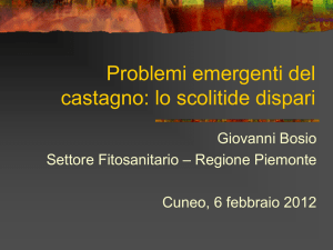 Problemi emergenti del castagno-lo scolitide dispari