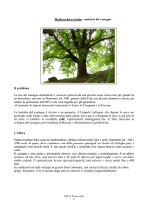 Biodiversità a rischio -malattia del castagno