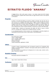estratto fluido "ananas"