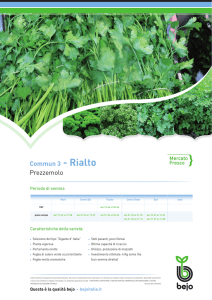 Commun 3 - Rialto Prezzemolo