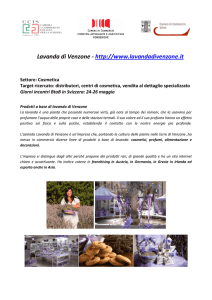 PRESENTAZIONE LAVANDA DI VENZONE