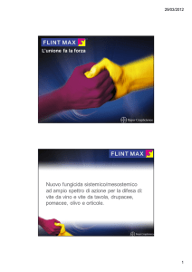Microsoft PowerPoint - Flint Max del vecchio