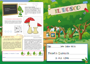 il bosco