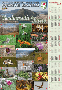 duemila15 - Parco Monte Barro