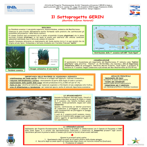 Diapositiva 1 - Progetto Egadi