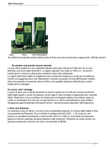 Aloe Vera succo - L`Erboristeria del Corso