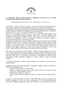 LA GESTIONE DELLE BANQUETTES DI POSIDONIA