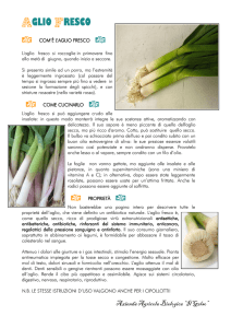 aglio fresco - Azienda Agricola Il Gelso