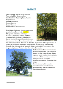 quercia - I Nostri Amici Alberi