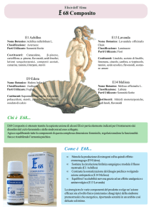 Scheda E68 Composito
