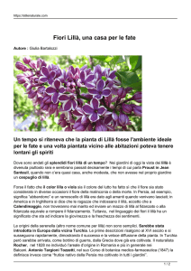Fiori Lillà, una casa per le fate