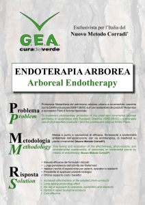 Scarica la nostra brochure