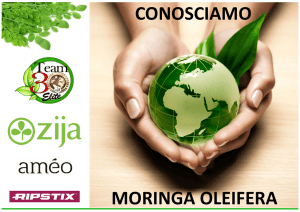 Moringa Oleifera