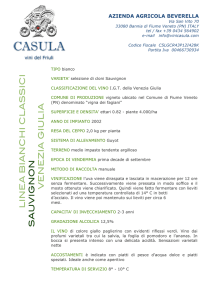 LIN E A BIA NCHI CL A S S ICI SAU VIG N O N VEN EZIA G IU L IA