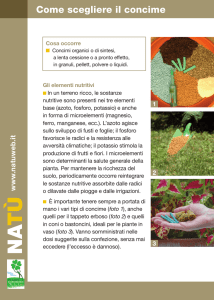 w w w .n a tu w e b .it La moltiplicazione per talea Come scegliere il