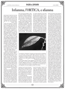 Infiamma, l`ORTICA, e sfiamma