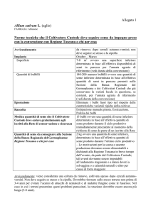 aglio - Regione Toscana