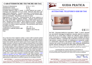 Scheda Tecnica - Antifurti Impianti di Allarme Centrali Sirene Chiavi