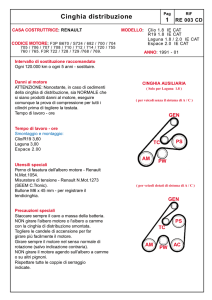 Cinghia distribuzione