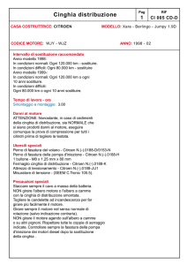 Cinghia distribuzione