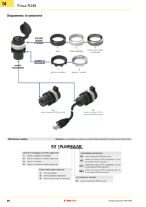 Pagina catalogo