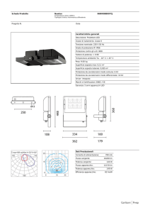 Scheda Prodotto Newton 06NW0B8007CJ