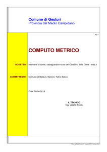computo metrico - Comune di Setzu