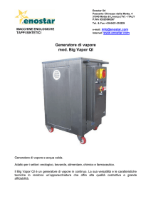 Generatore di vapore mod. Big Vapor QI