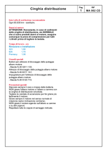 Cinghia distribuzione