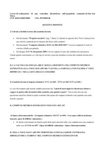 Chiarimenti riguardo le modalità di esecuzione dei lavori