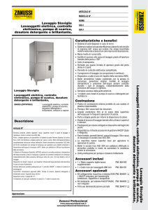 lavaoggetti elettrica, controllo elettronico, pompa di