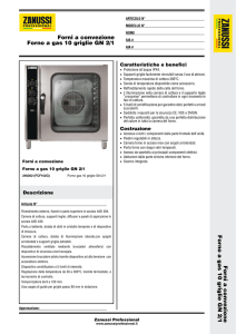 Forno a gas 10 griglie GN 2/1